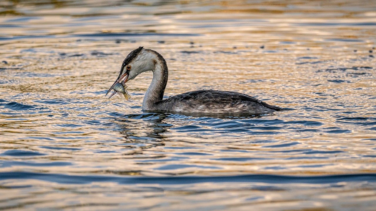 Conservation Strategies for Vulnerable Sites